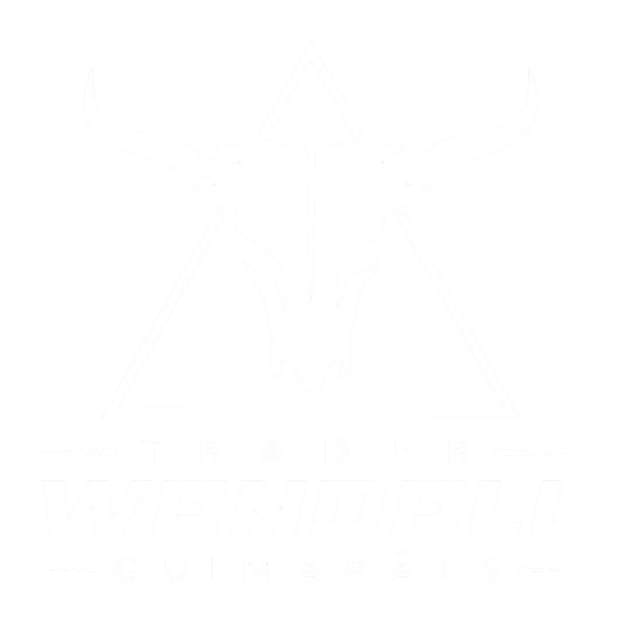 Trader School Wendell Guimarães